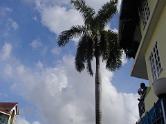 Jamaica06 (55)